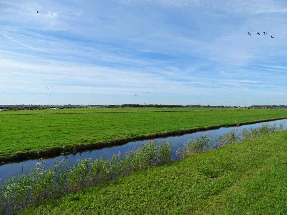Ilperveld
