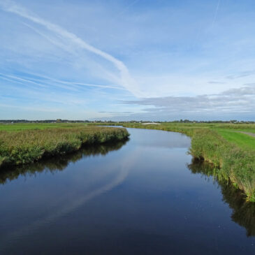 Ilperveld