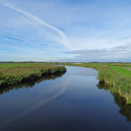 Ilperveld