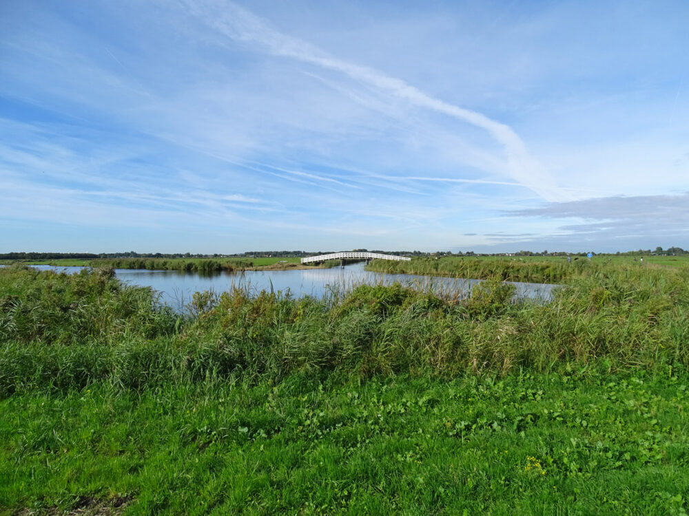 Ilperveld