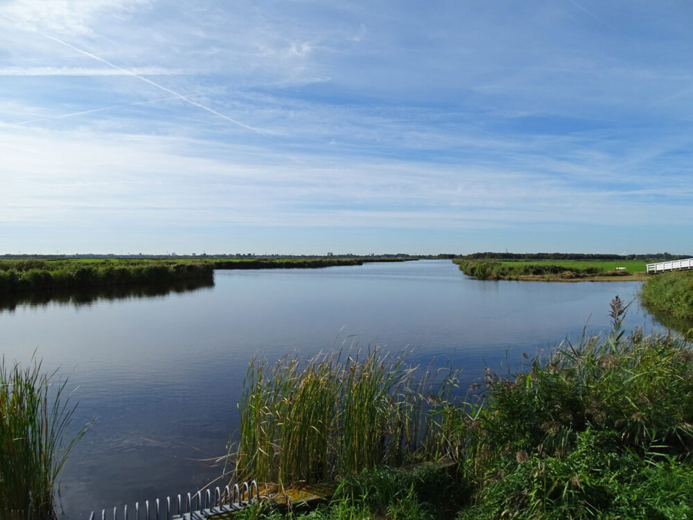 Ilperveld