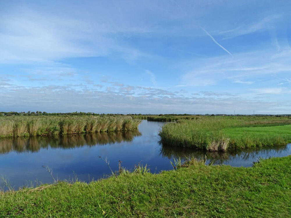 Ilperveld