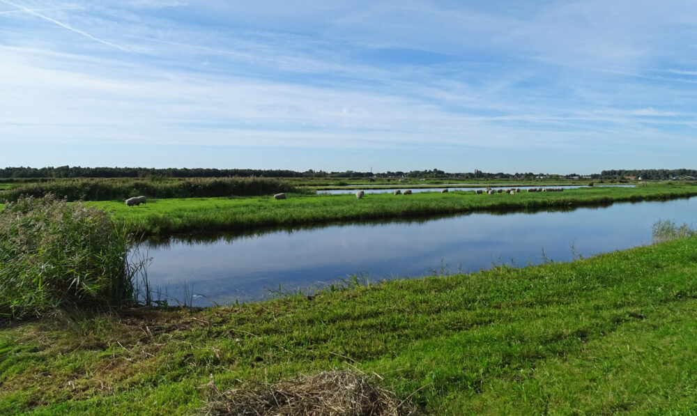 Ilperveld