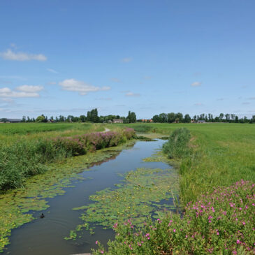 Ingelumer Feart (Friese Wateren)