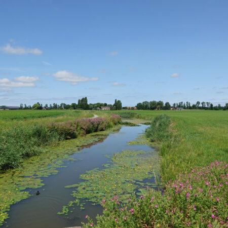 Ingelumer Feart (Friese Wateren)