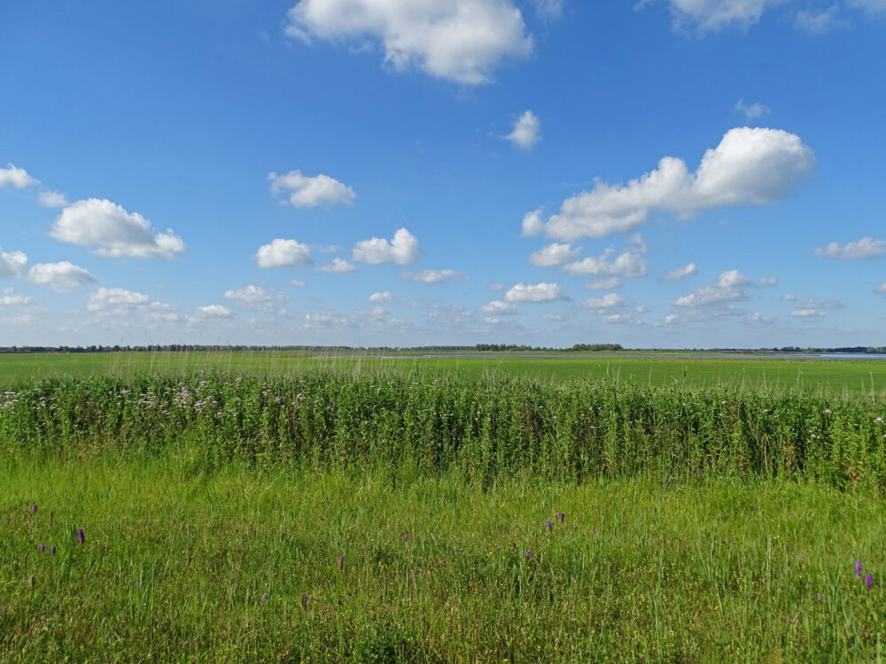 Jaap Deensgat (Lauwersmeer)