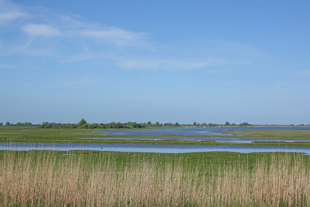 Jaap Deensgat (Lauwersmeer)