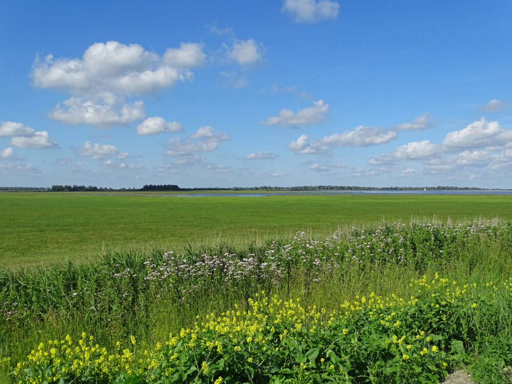Jaap Deensgat (Lauwersmeer)