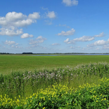 NP Lauwersmeer