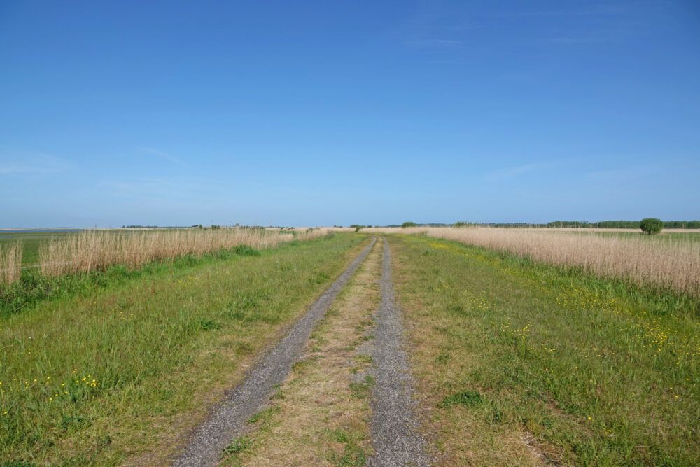 Jaap Deensgat (NP Lauwersmeer)