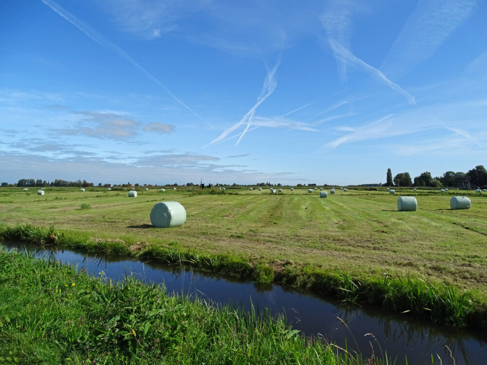 Kalverpolder (Zaanstreek)