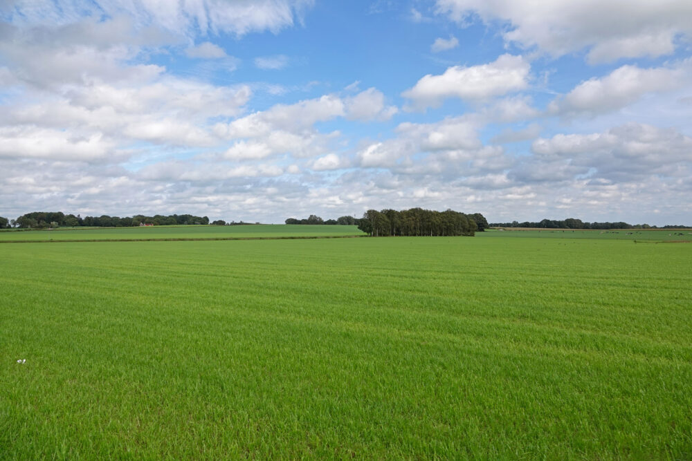 Kersberg (Landgoederen Oldenzaal)