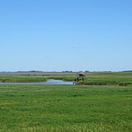 Kiekkaaste (Eems-Dollard)
