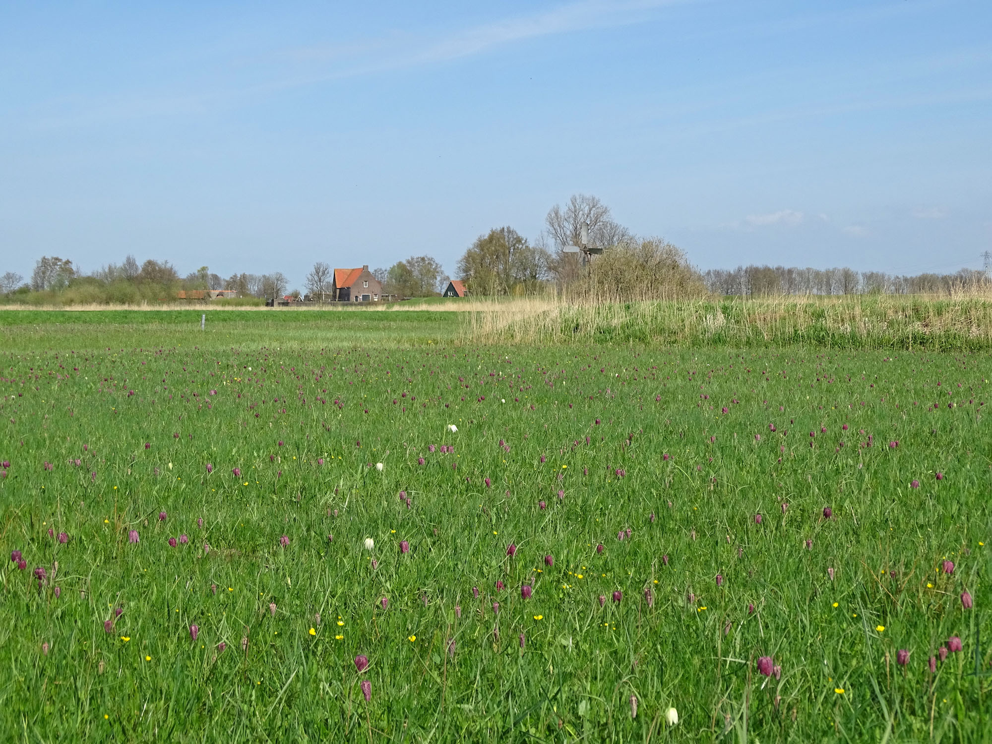 Zwarte Water