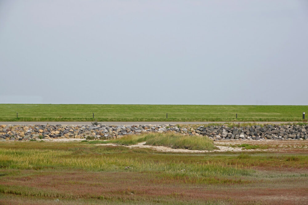 Kleine kwelder Ameland