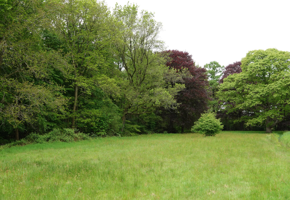Kluivingsbos
