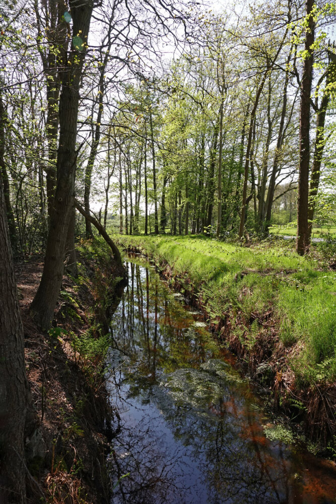 Kluivingsbos