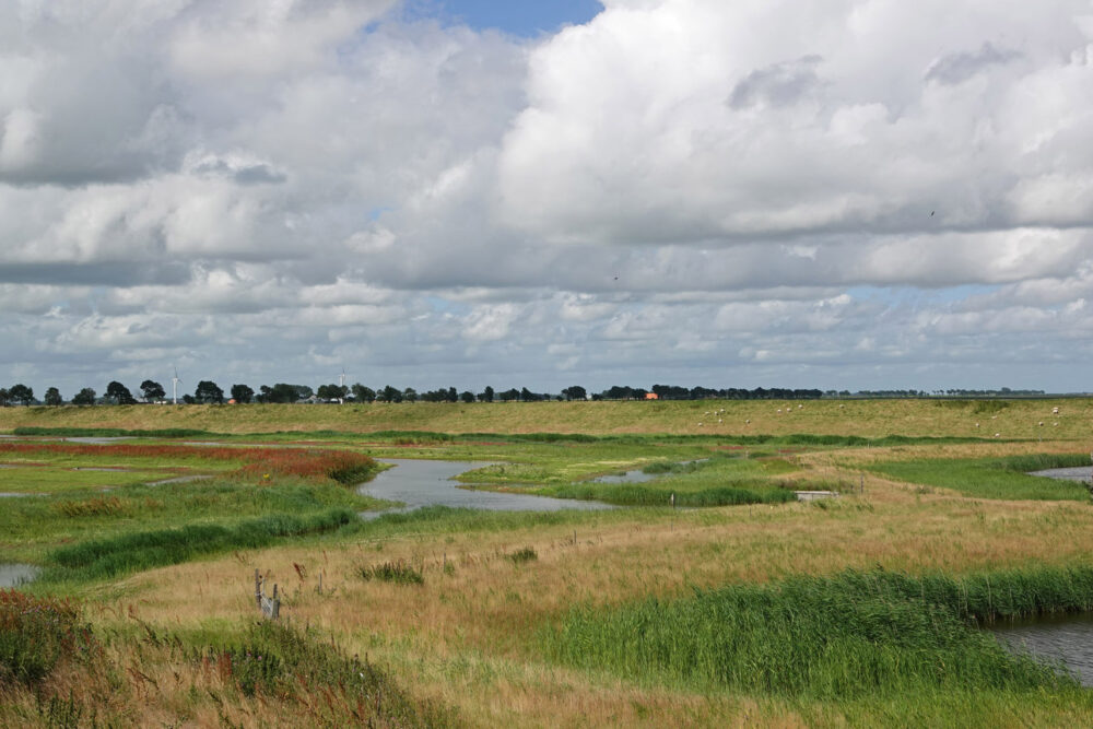 Klutenplas
