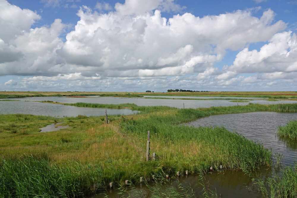 Klutenplas