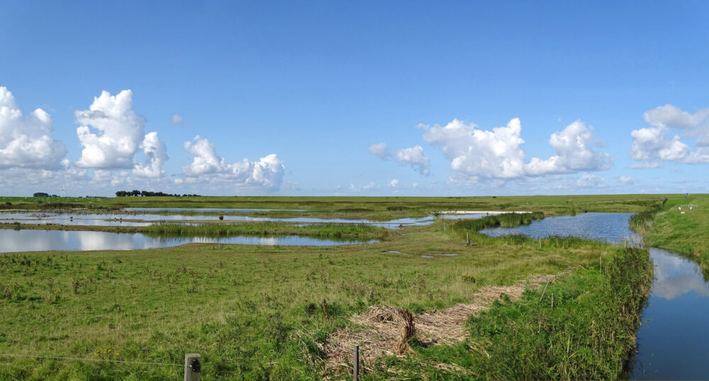 Klutenplas (Warffum)