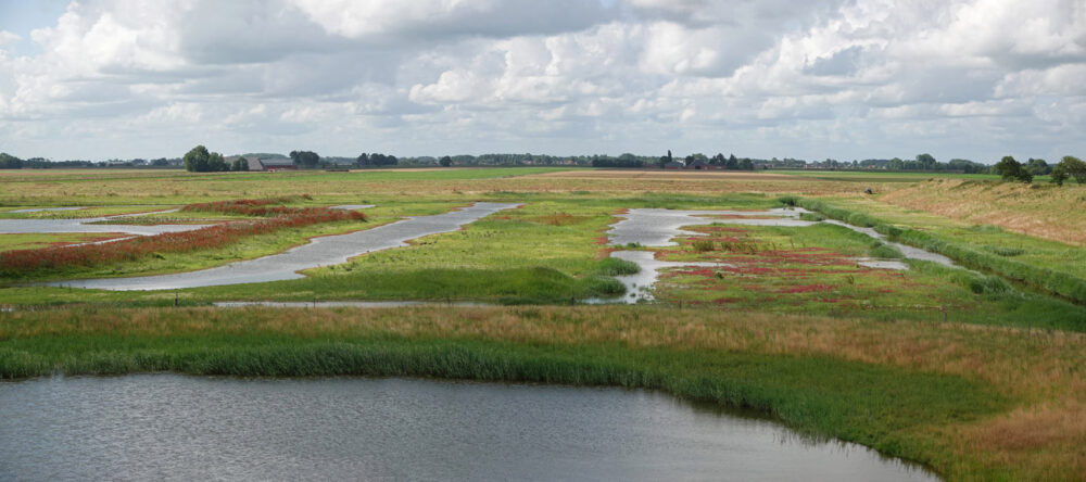 Klutenplas