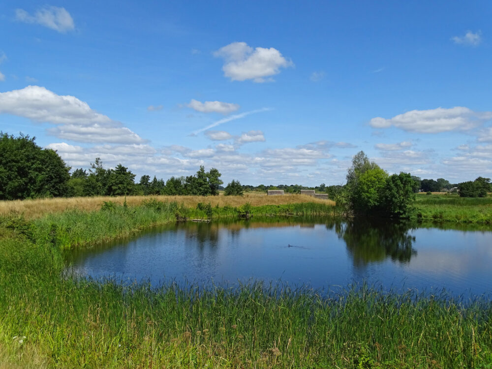 Kolk langs Overijsselse Vecht