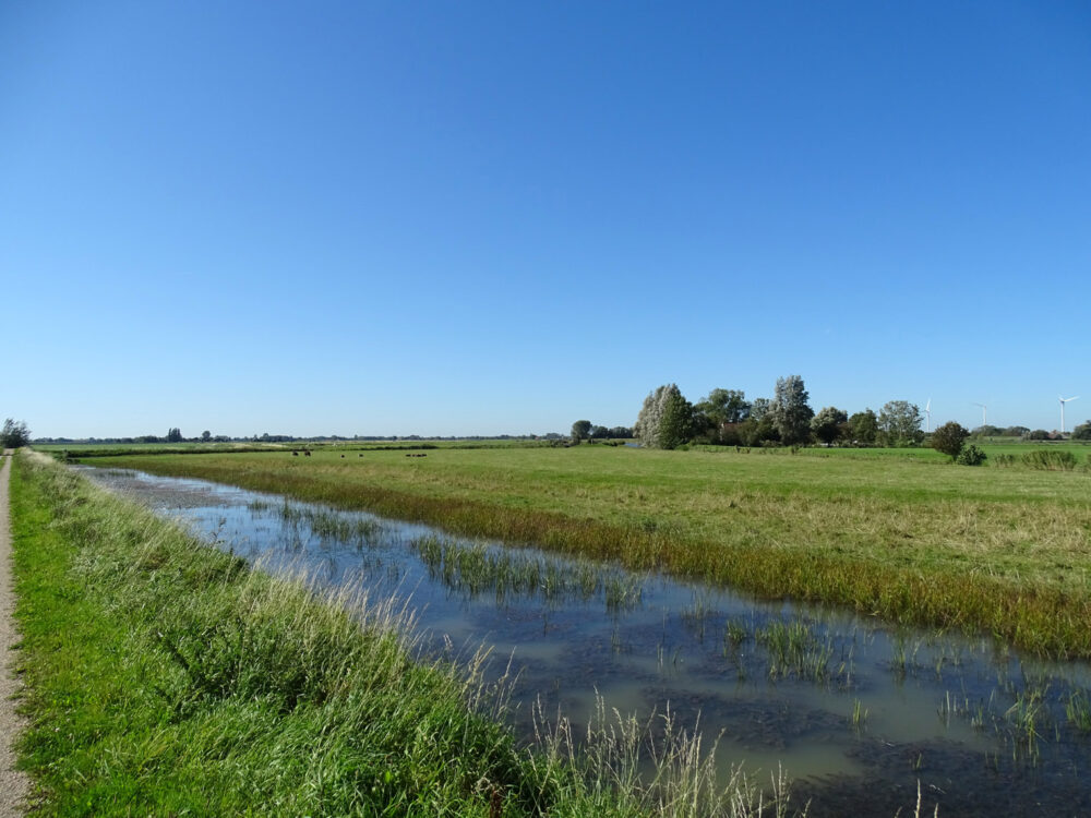 Kolk van Dussen