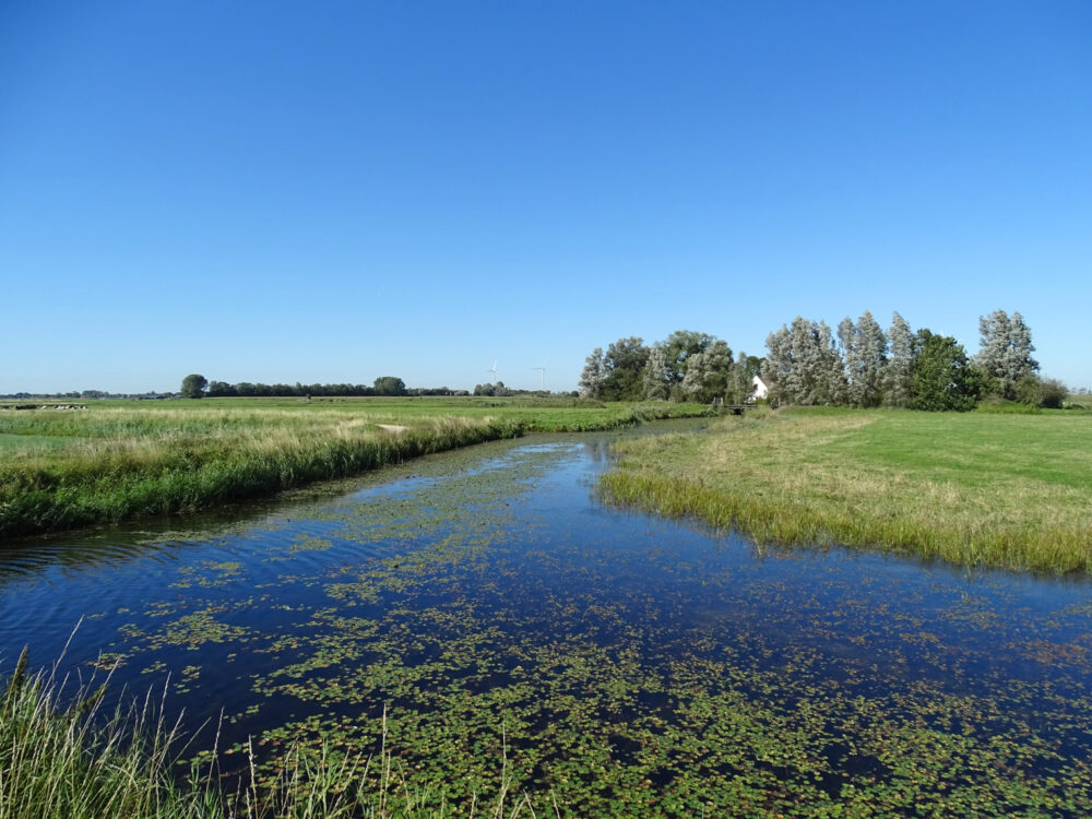Kolk van Dussen