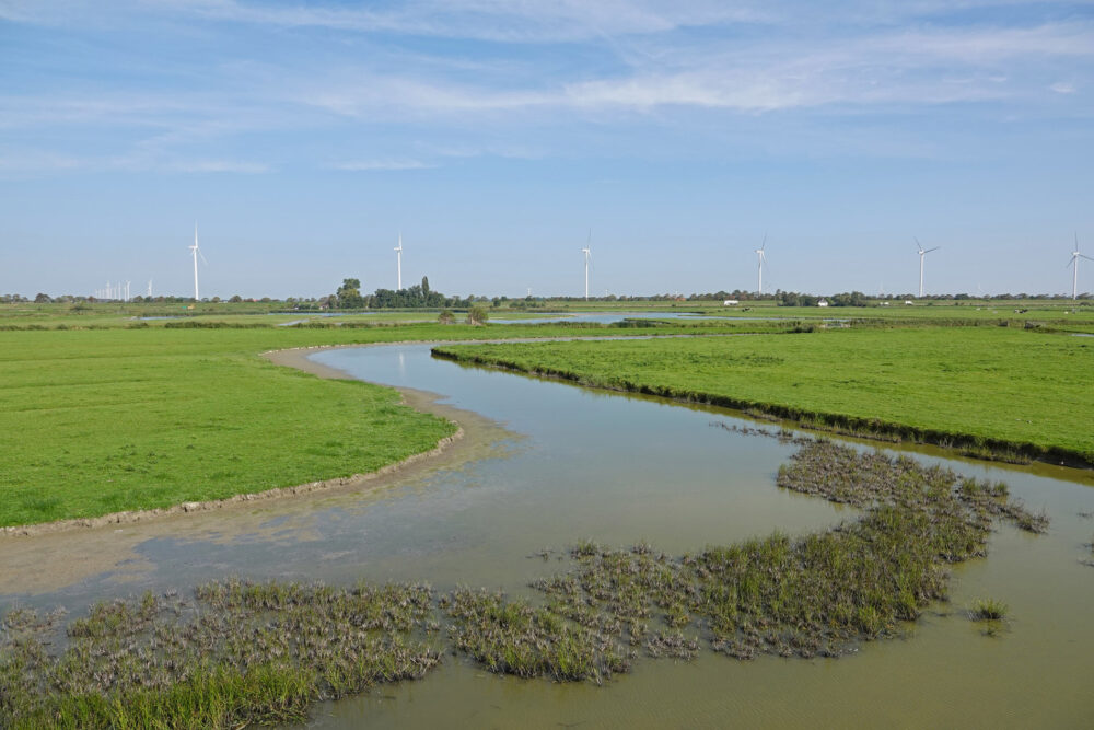 Kolk van Dussen