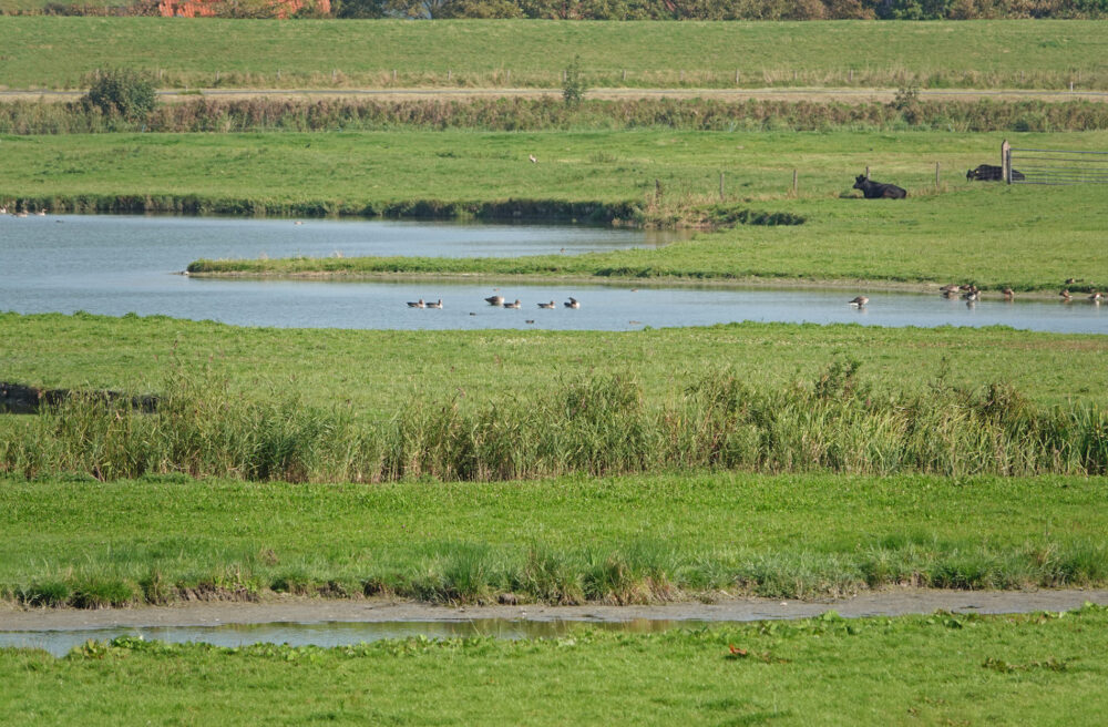 Kolk van Dussen