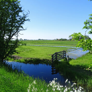 Koningslaagte (Groningen)