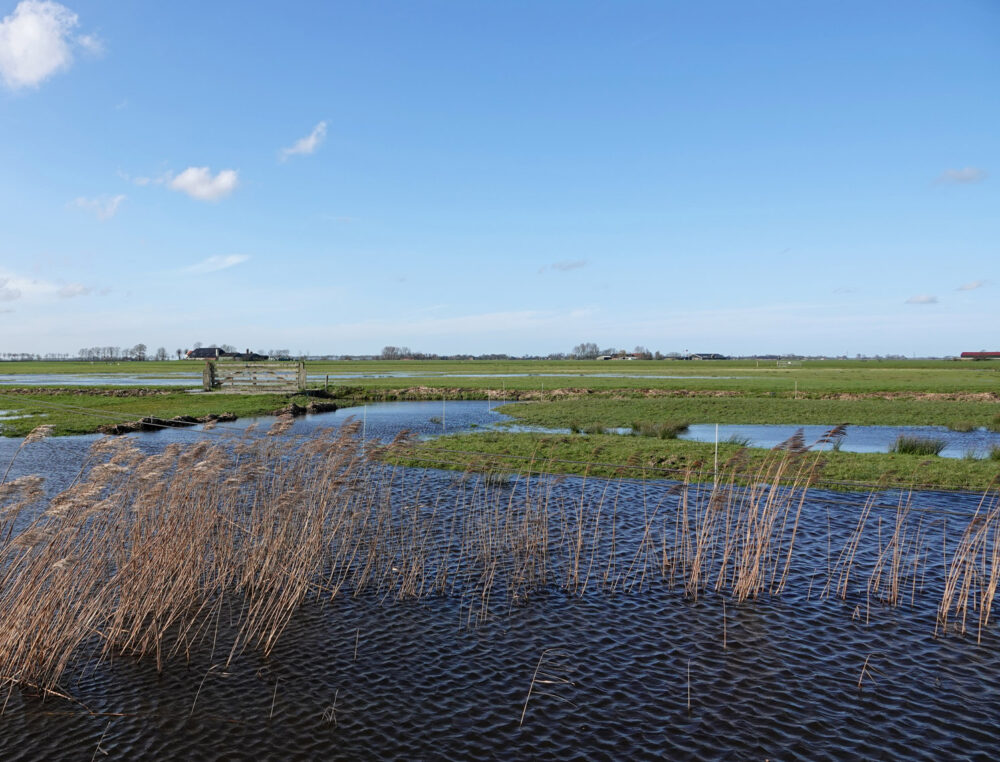 Koningslaagte (Reitdiepgebied)