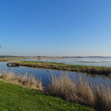 Polder de Warren (Groote Wielen)