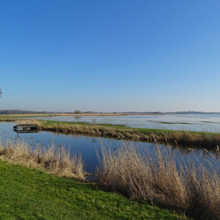 Polder de Warren (Groote Wielen)