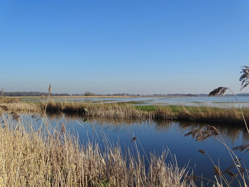 Kooiboutvaart (Sierdswiel)