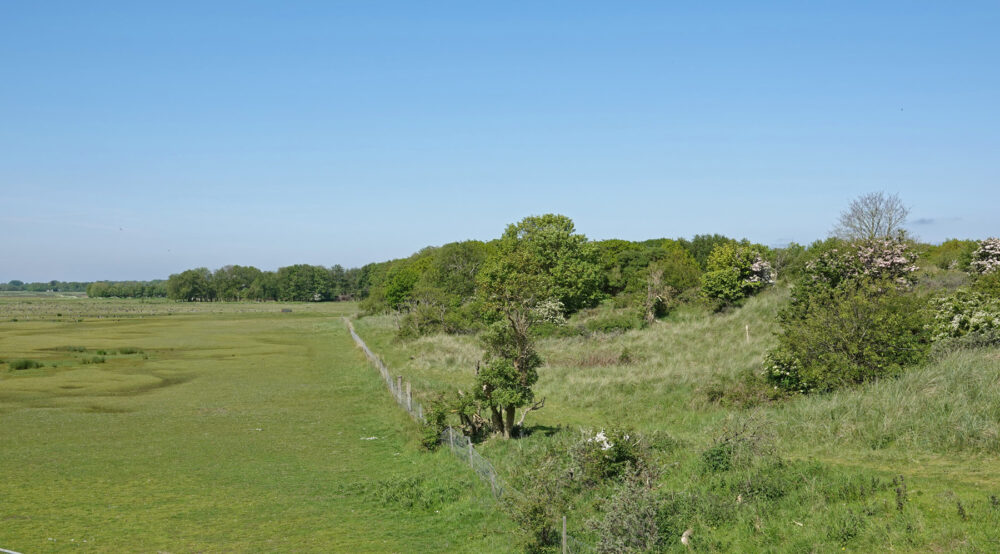 Kooiduinen (Schiermonnikoog)