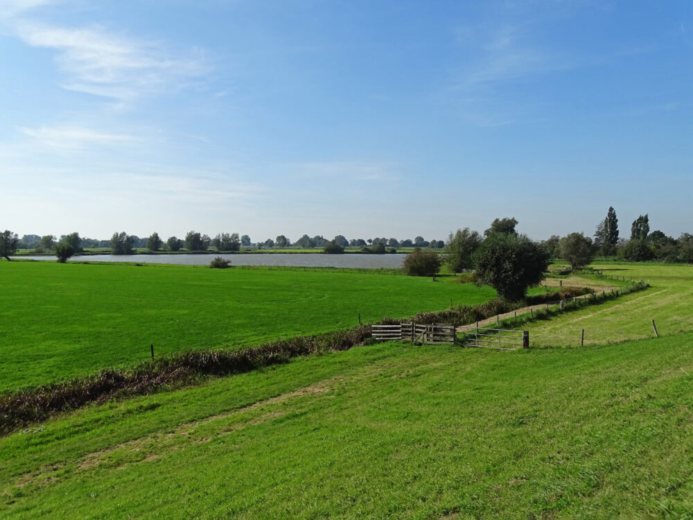 Koppelerwaard langs IJssel