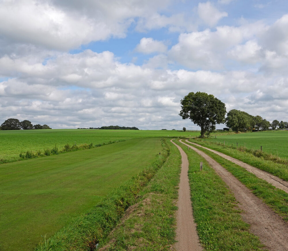 Kuiperberg (Landgoederen Oldenzaal)