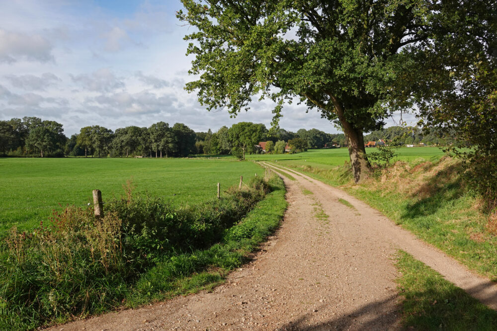 Kuiperberg (Landgoederen Oldenzaal)