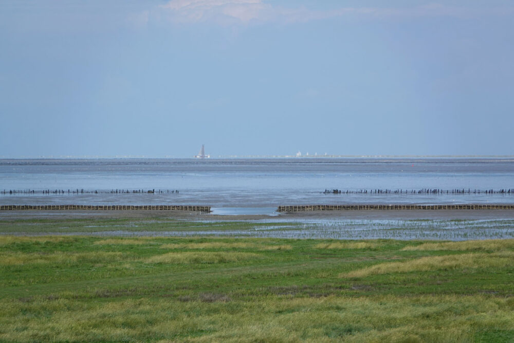 Kwelder Zevenboerenpolder