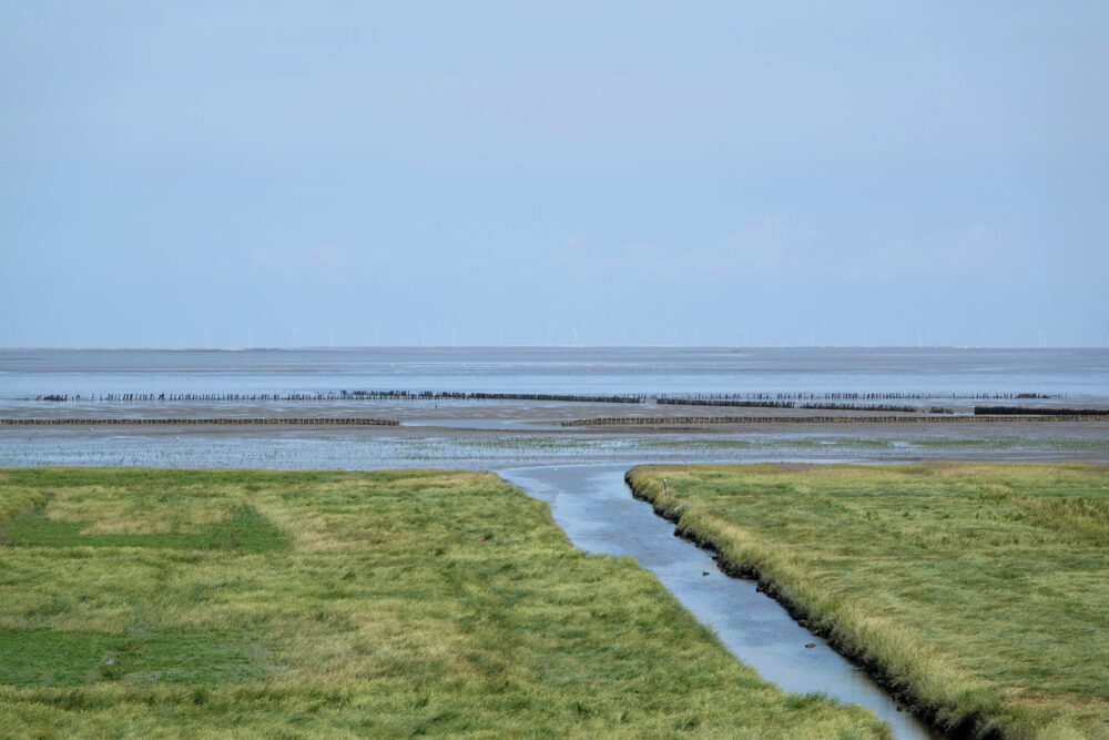 Kwelder Zevenboerenpolder