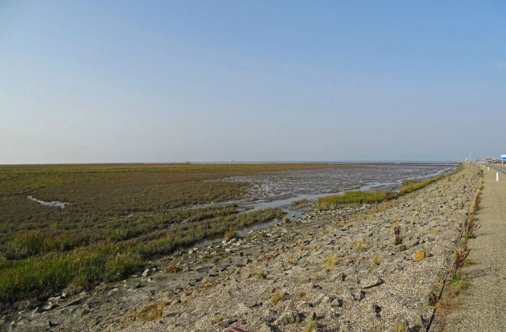 Kweldergebied Holwerterwestpolder