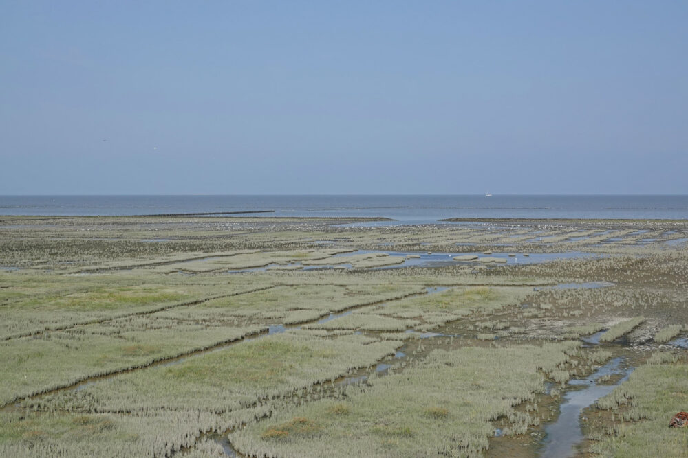 Kwelders Emmapolder
