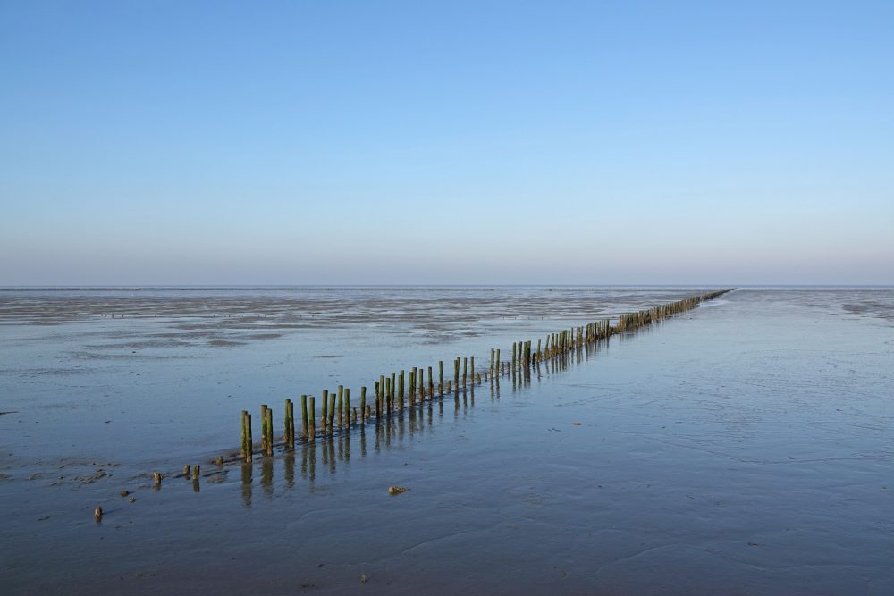 Kwelders Emmapolder