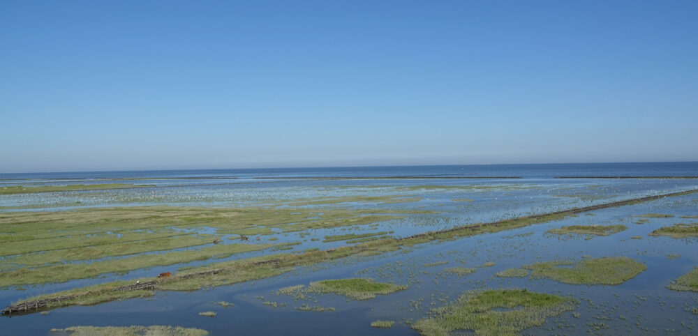 Kwelders Emmapolder
