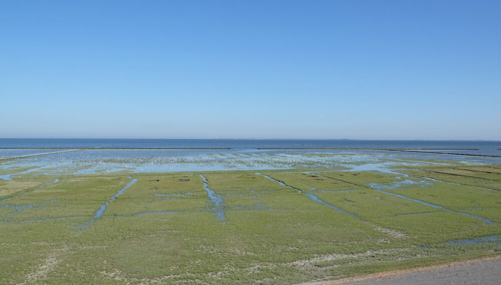 Kwelders Emmapolder
