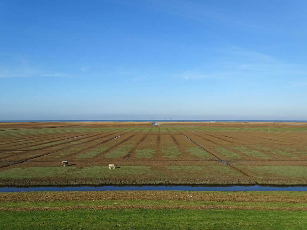 Kwelders Noordpolder