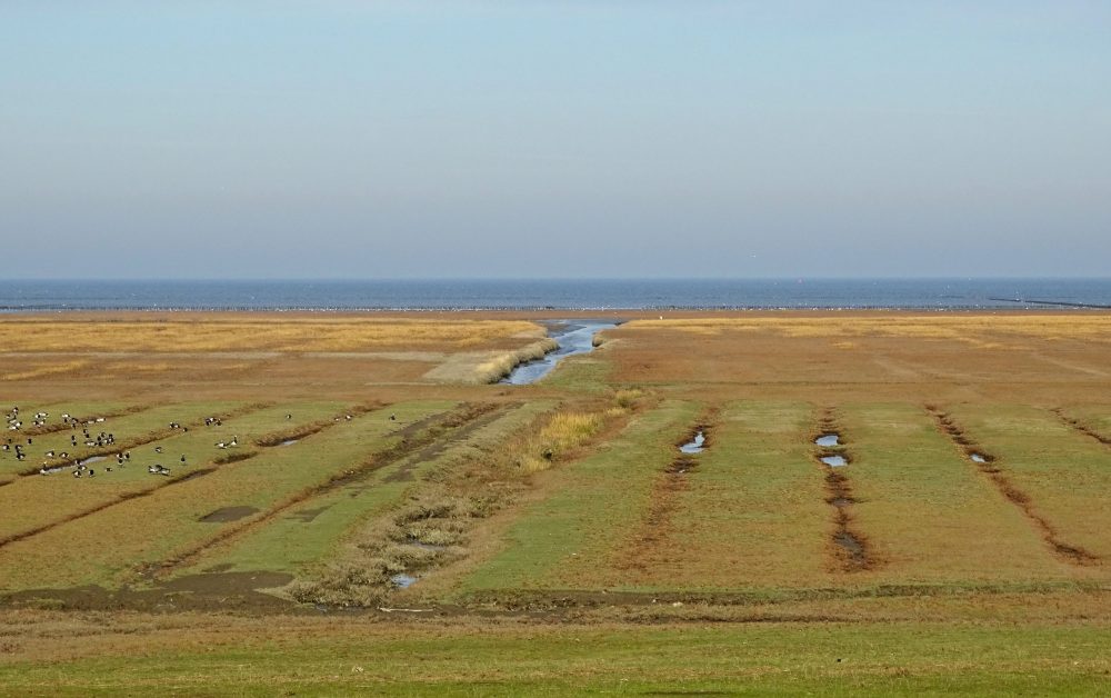 Kwelders Noordpolder