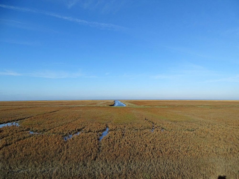Kwelders Noordpolder