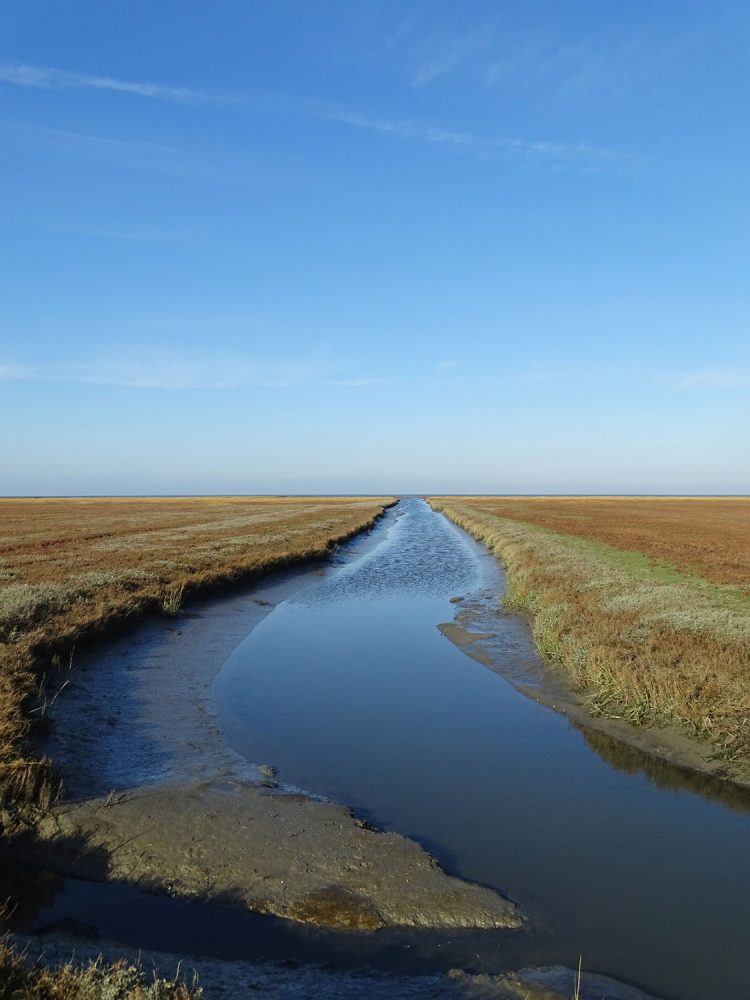 Kwelders Noordpolder